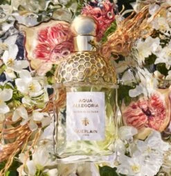 Guerlain Aqua Allegoria Nerolia Vetiver Eau De Toilette Spray 75 Ml -Beroemde Parfum Winkel 1165x1200